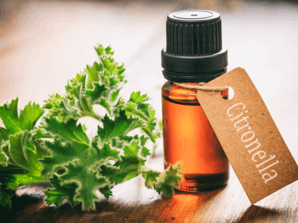 Citronella oil mosquito repellent Pakistan