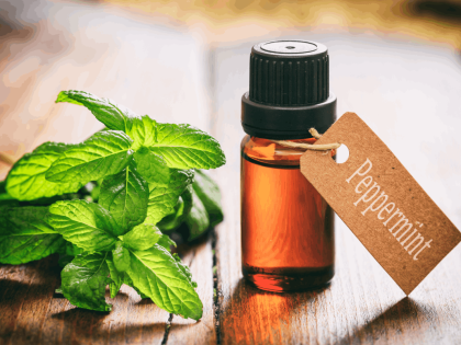 fresh-peppermint essential oil